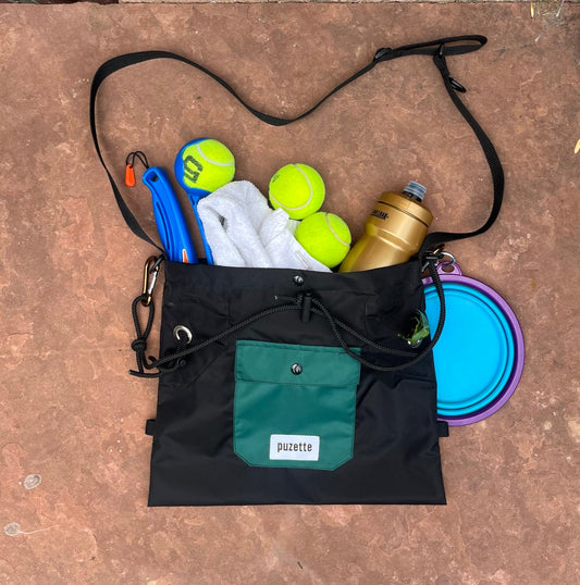 Ten Essentials for Dog Outings