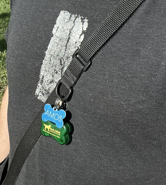 Supporting the Morris Animal Foundation